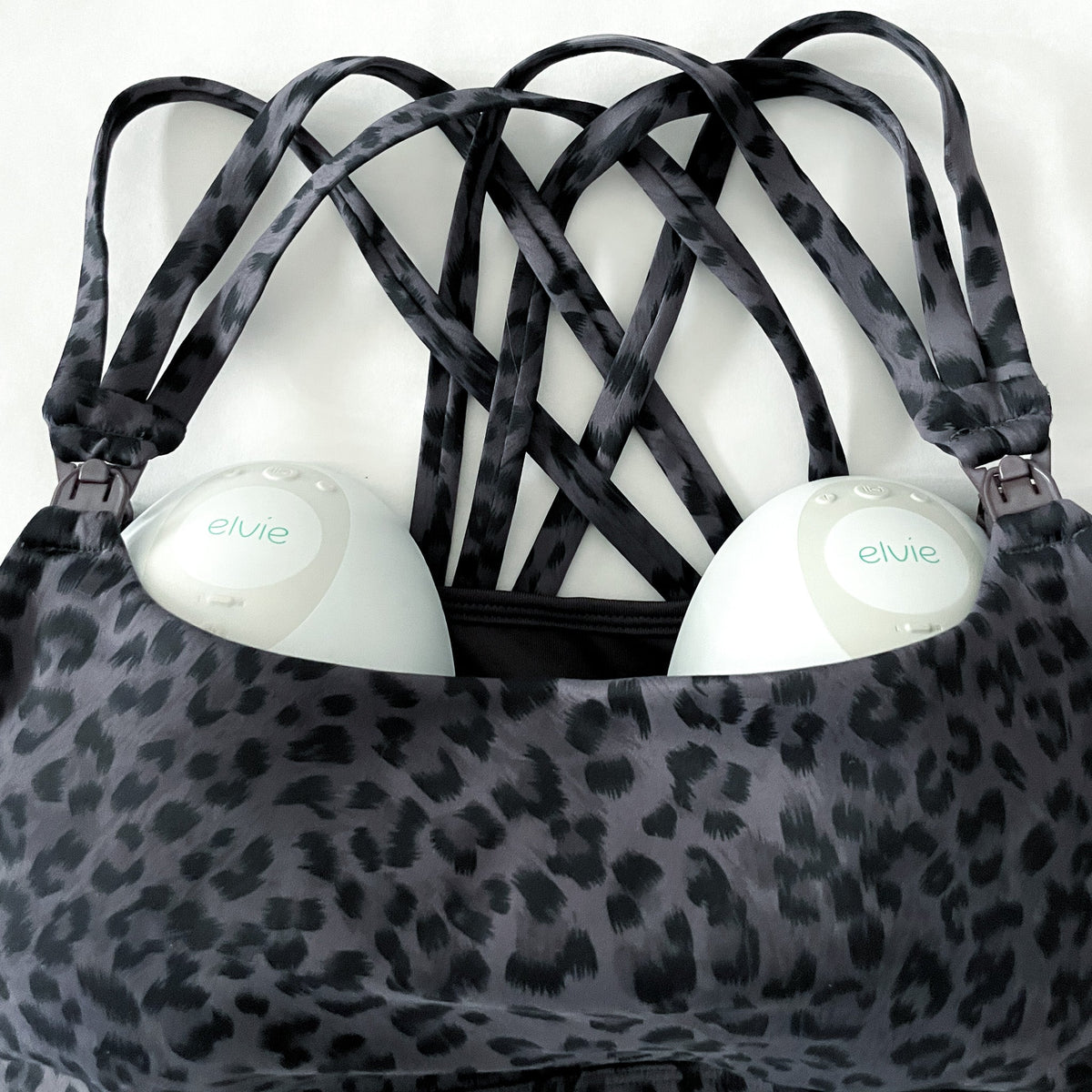 Gray Leopard